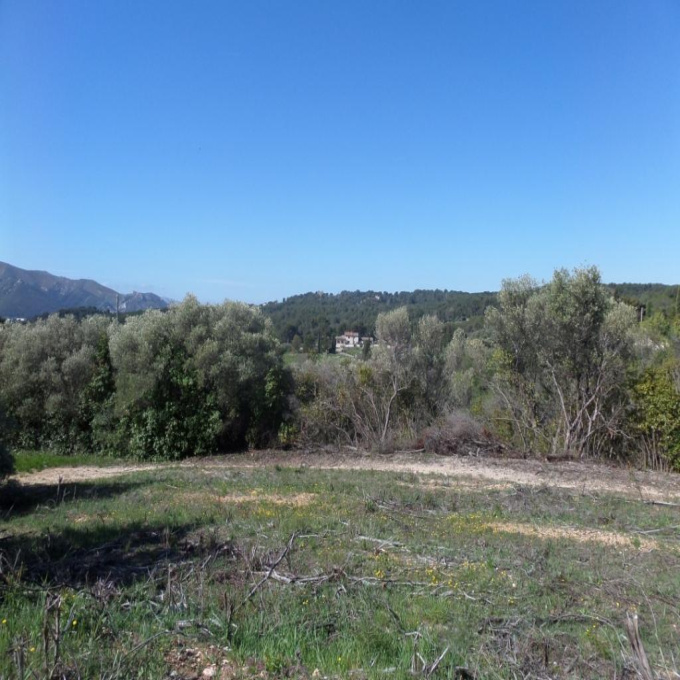 Offres de vente Terrain Marseille (13011)