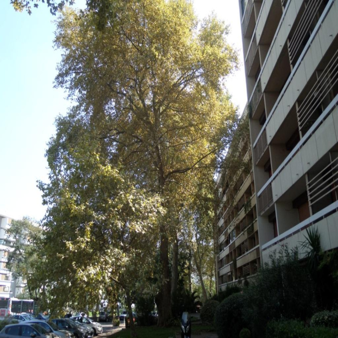 Offres de vente Appartement Marseille (13011)