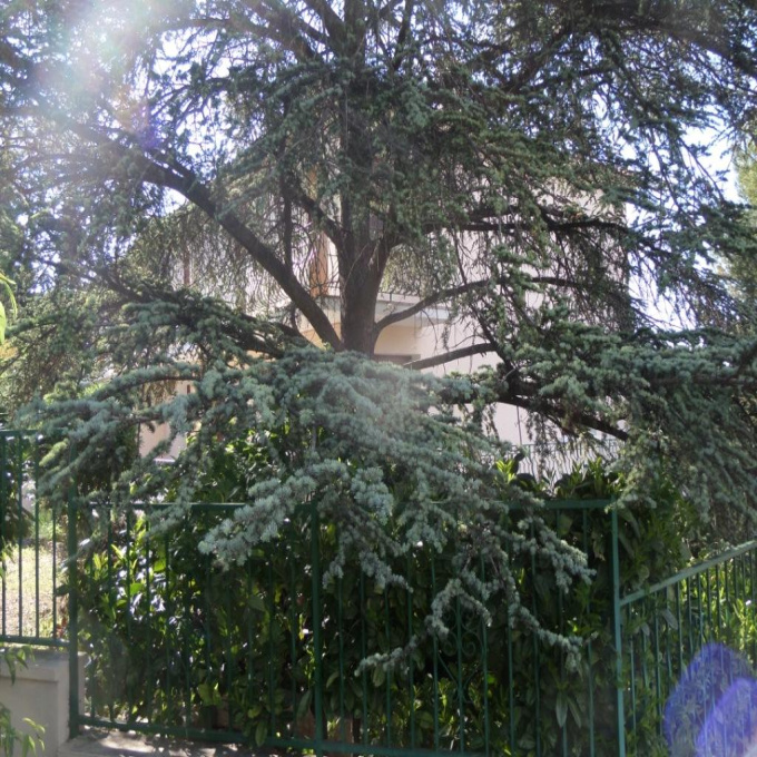 Offres de vente Maison Marseille (13009)
